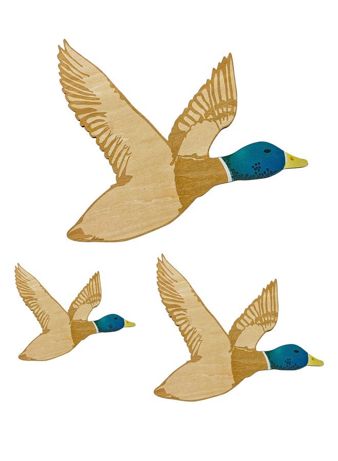Midrean 3 Pcs Wooden Ducks Wall Decor for Bedroom Rustic Farm Carved Wood Wall Art for Home Living Room Kitchen Office Decorations - Image 1